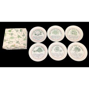 Vintage Toscani Vinaigrette Salad Plates Set of 6 Vintage 7.5" Japan with Box